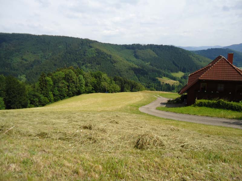 DSC00096