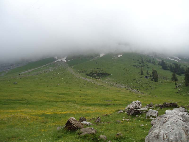DSC00108