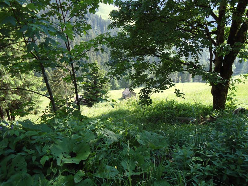 DSC00125