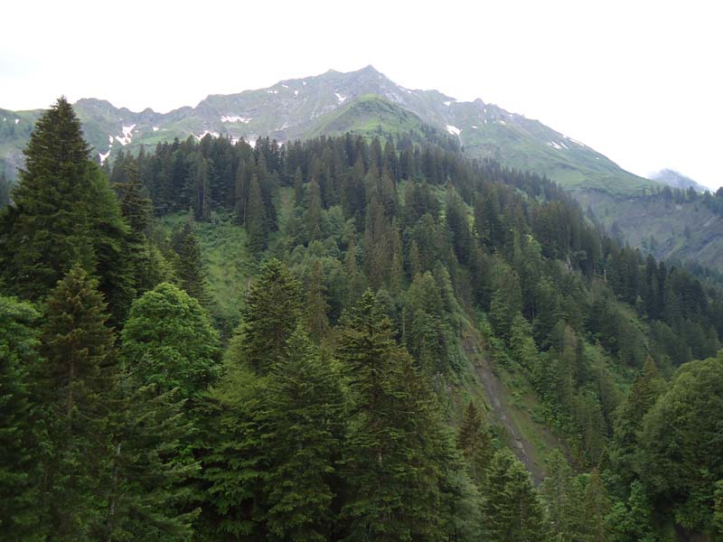 DSC00145